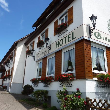 Hotel Landgasthof Gruener Baum Hochdorf  Exterior photo