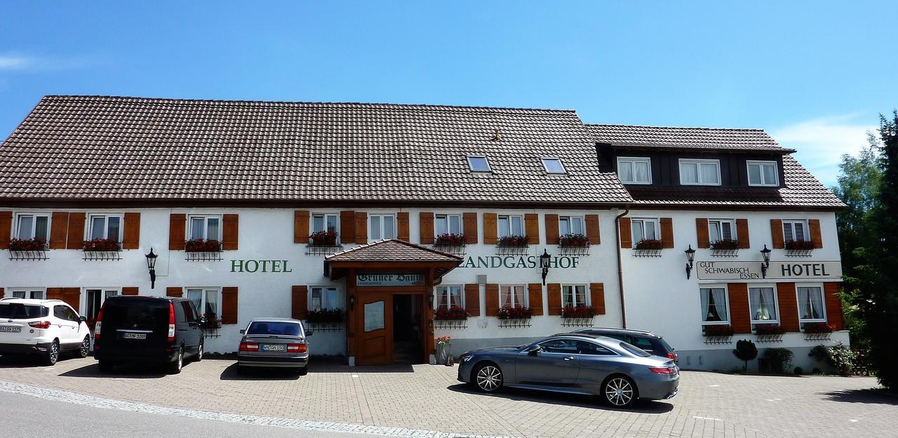 Hotel Landgasthof Gruener Baum Hochdorf  Exterior photo